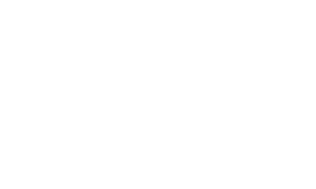 Anita-Illu-2